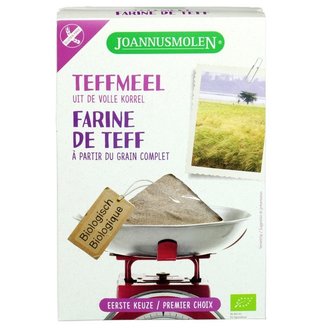 Glutenvrij Teffmeel 300 gram (biologisch)