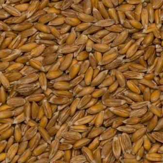 Spelt Grootverpakking 25 kilo (biologisch)