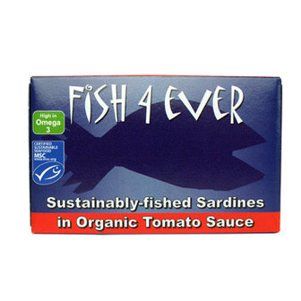 Sardines in tomatensaus
