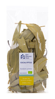 eucalyptus
