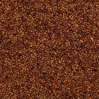 Rode Quinoa Grootverpakking 25 kilo (biologisch)