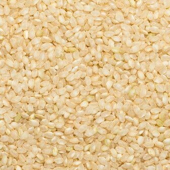 Witte Snelkookrijst Grootverpakking 25 kilo (biologisch)