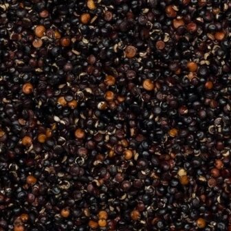  Zwarte Quinoa Grootverpakking 25 kilo (biologisch)