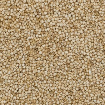 Quinoa Grootverpakking 25 kilo (biologisch)