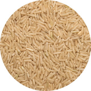 Glutenvrij Bruine Jasmijnrijst 25 kilo (biologisch)