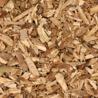 Gedroogde cichoreiwortel