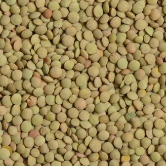 Biologische groene eston linzen