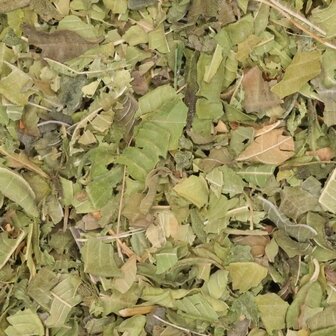 Verveine Citroenverbena 