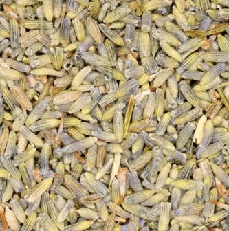 Lavendel 1 kilo (biologisch)
