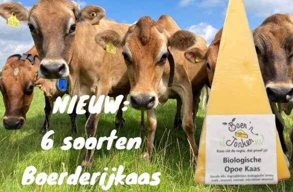Boerderijkaas Boerderijkaas