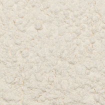  Poedersuiker (Rietsuiker) 10 kilo (biologisch)