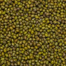 Mungbonen Grootverpakking 25 kilo (biologisch)