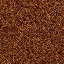 Rode Quinoa Grootverpakking 25 kilo (biologisch) Rode Quinoa Grootverpakking 25 kilo (biologisch)