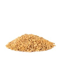 Haver Grootverpakking 20 kilo (biologisch)