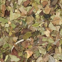 Witte Thee (Bai Mu Dan) gebroken 25 gram (biologisch)