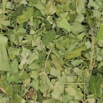 Moringablad 35 gram (biologisch)