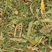 Hennepkruid 35 gram (biologisch)