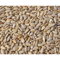 Zonnebloempitten Grootverpakking 25 kilo (biologisch) Zonnebloempitten Grootverpakking 25 kilo (biologisch)